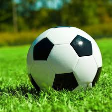 竞猜爱好者参考工具